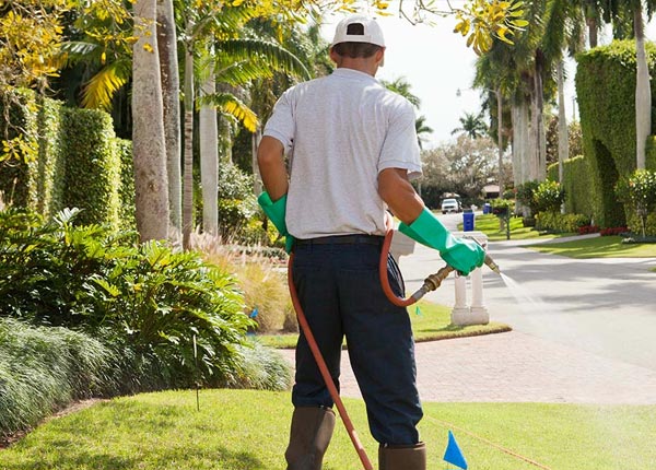 About Lake Isabella CA Pest Control Pros
